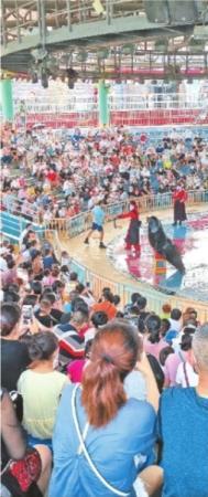 黄鹤楼免票首日客流量涨3倍什么情况?终于真相了,原来是这样!