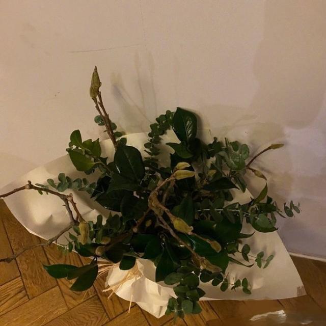 邓超送白玉兰花安慰孙俪，暖心告白说了什么？