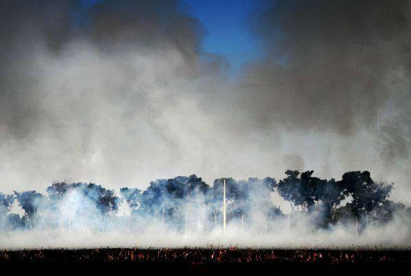 巴西总统称亚马孙雨林大火是“谎言”
