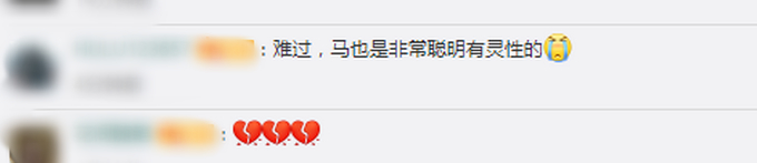 痛心!福建下海救人的两匹救命恩马去世最新消息,具体是怎么回事?