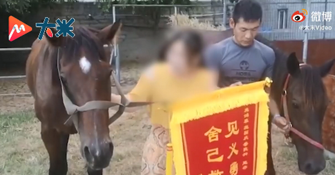 痛心!福建下海救人的两匹救命恩马去世最新消息,具体是怎么回事?