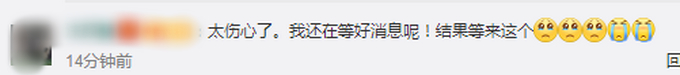 痛心!福建下海救人的两匹救命恩马去世最新消息,具体是怎么回事?