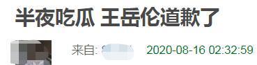 王岳伦就与女子举止亲密道歉是怎么回事?终于真相了,原来是这样!