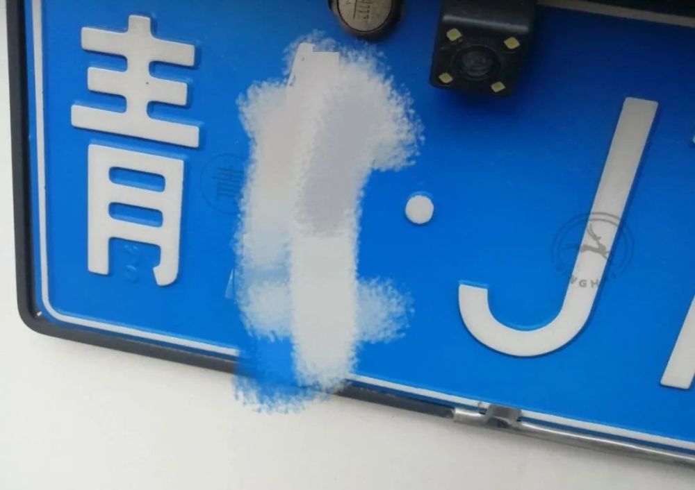 意外发现！车牌上有个小秘密,全国网友激动了