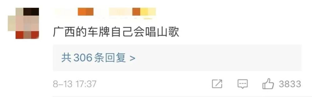 意外发现！车牌上有个小秘密,全国网友激动了