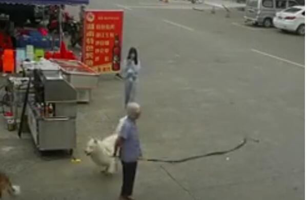 老人被狗绳绊倒摔地后身亡怎么回事?具体什么情况?终于真相了,原来这样！