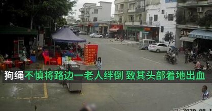 【官方通报】老人被狗绳绊倒摔地后身亡 女子带狗逃离目前警方已介入