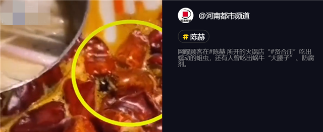 事大了?陈赫火锅店回应卫生问题说了什么?事件详情始末来龙去脉