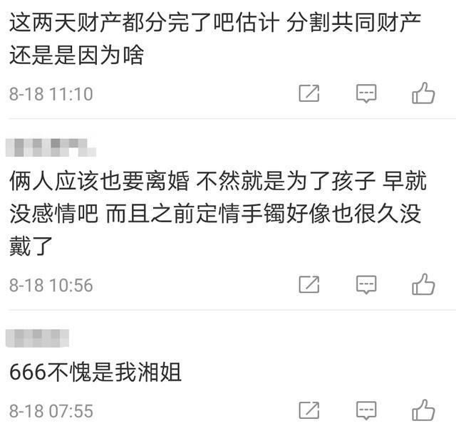【吃瓜】李湘王岳伦名下公司已注销?王岳伦背着李湘偷吃,不是第一次被抓包了