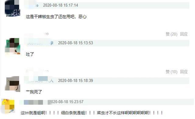 陈赫火锅店翻车！食客视频爆料吃出三条蠕动的虫