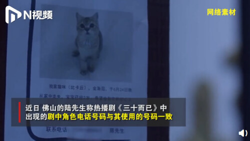 【最新】女孩回应遛狗绊死老人逃离现场 电话里到底说了什么？