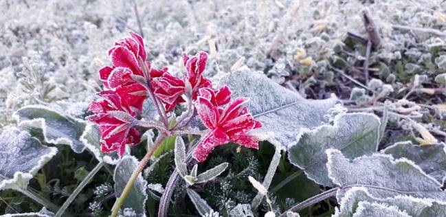 寒流加持冷空气 巴西多地出现几十年未遇雨雪天气