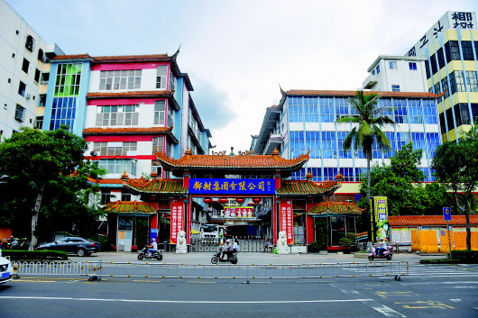为何公开提出违法条件？椰树“押房招聘”的背后