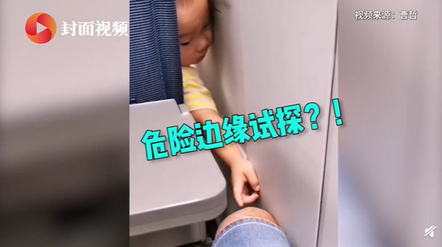 这是什么癖好？萌娃坐高铁拔后座乘客腿毛 网友乐翻了：你咋啥都好奇！