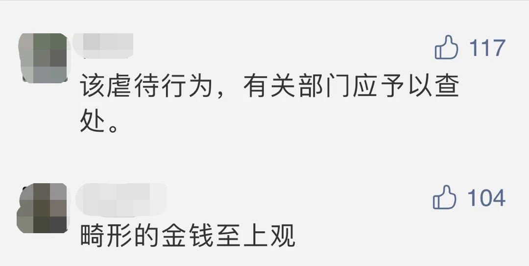 真相大白了!3岁70斤吃播女童母亲否认虐待,具体是怎么回事?