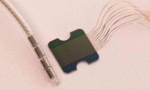 马斯克最新脑机Neuralink,电脑读取脑部活动的状态