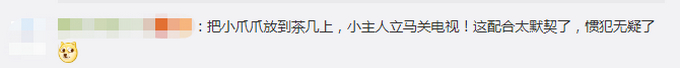 【惯犯】狗子听到家长进门提醒女孩写作业,具体是什么情况?