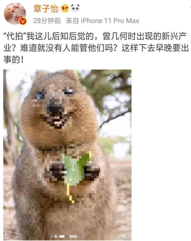 章子怡发文斥代拍是怎么回事?什么情况?终于真相了,原来是这样！