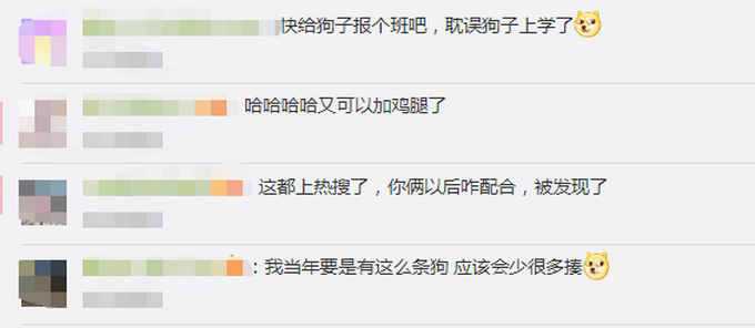 【惯犯】狗子听到家长进门提醒女孩写作业,具体是什么情况?