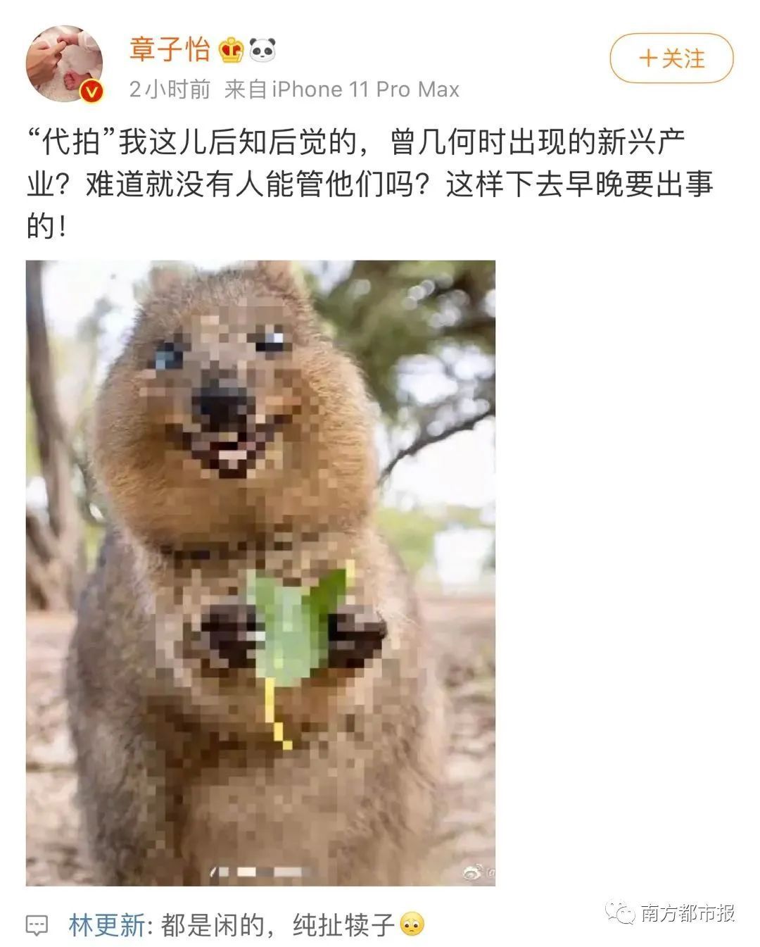 热搜第一!章子怡发文斥代拍:这样下去迟早出事!