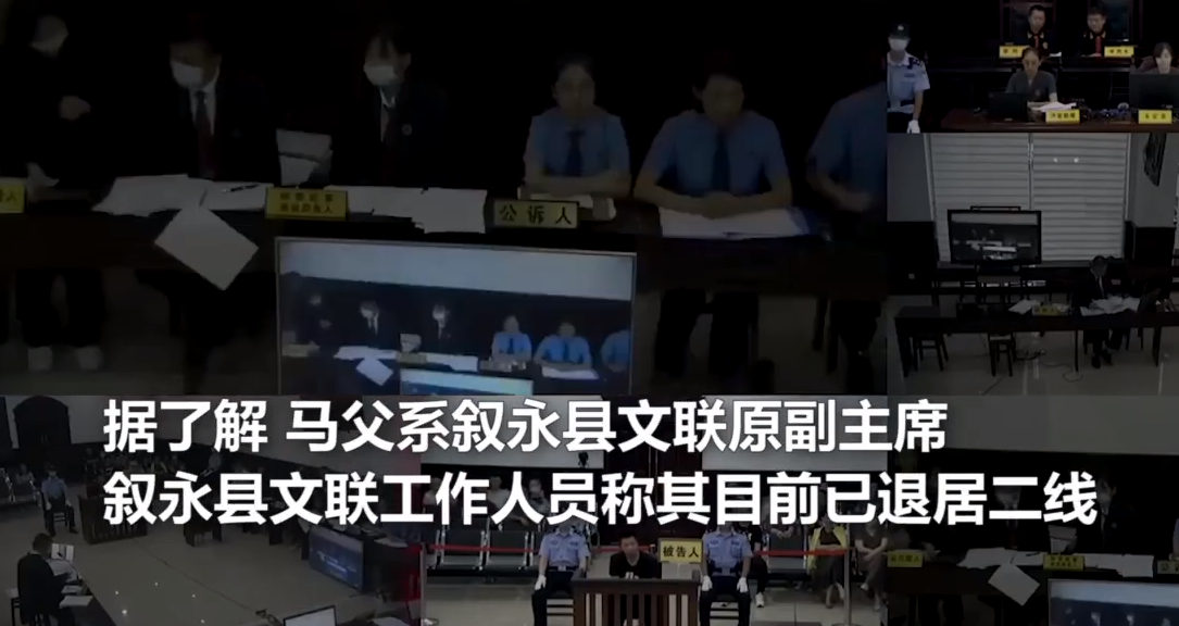 【沉默的被告】谭松韵妈妈被撞案肇事者父亲回应 副主席退居二线没有职务