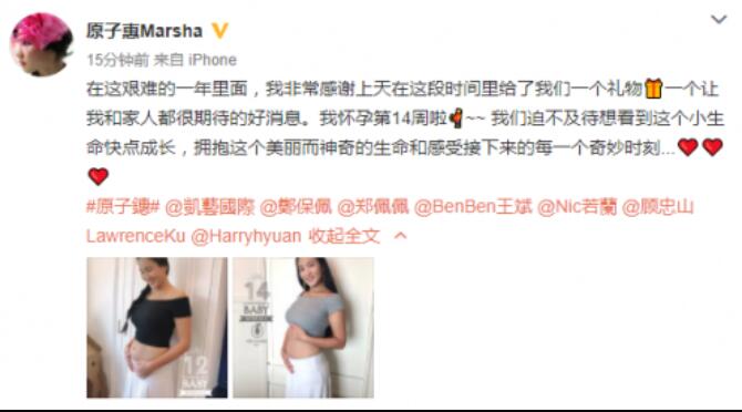 升格当外祖母！郑佩佩女儿怀孕14周 郑佩佩女儿原子惠老公是谁