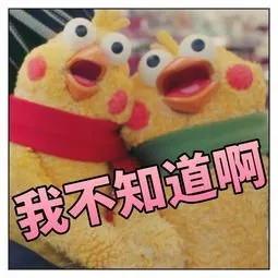 央视调查真假全麦面包 网友:“全麦”里面居然有着大学问!