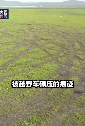男子开车碾压草原被罚把草种回去 网友：活该！