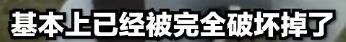 男子开车碾压草原被罚把草种回去 网友：活该！