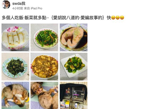 向太否认郭碧婷已生女是怎么回事?什么情况?终于真相了,原来是这样!