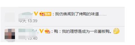 火速让开!50多只鸭大摇大摆上高速是怎么回事?终于真相了,原来是这样!