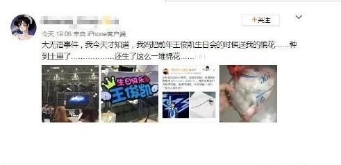 【围观】王俊凯送的棉花被粉丝妈妈种了 网友：原谅我笑出了猪叫声