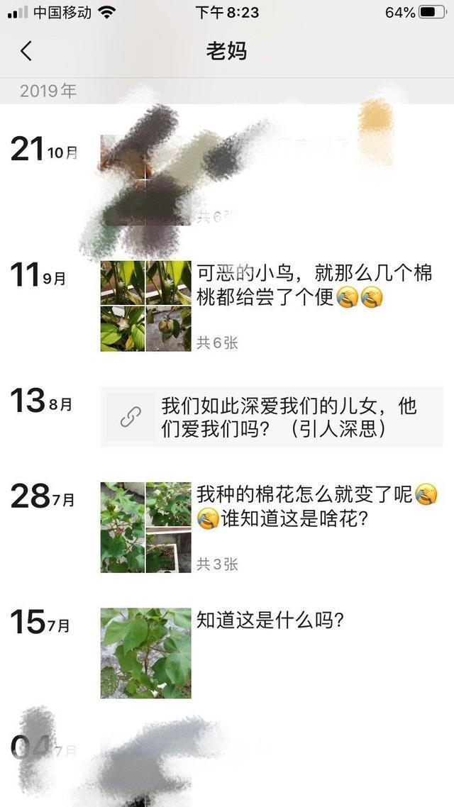 【吃瓜围观】王俊凯送的棉花被粉丝妈妈种了 还长出了一堆棉花