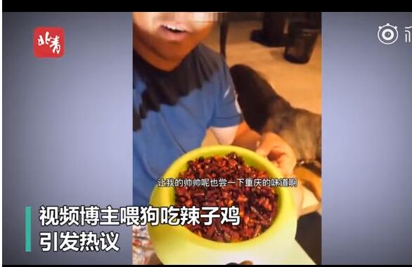 【后续来了】喂狗吃辣子鸡博主回应争议 宠物博主让狗当大胃王强行喂食
