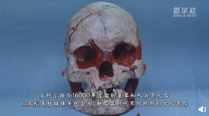 16000年前的人头骨化石什么情况?终于真相了,原来是这样!