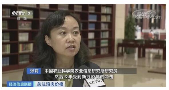 不升反降？全国鸡肉价格3年首降 供求关系发生变化