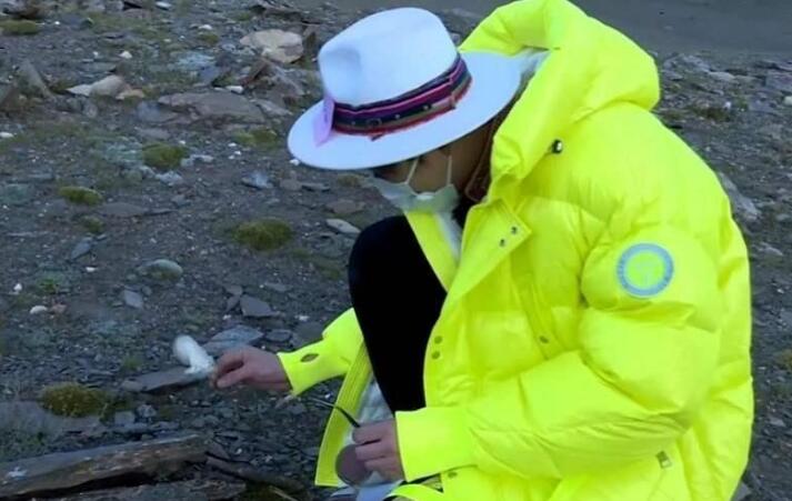 是道具？刘宇宁就采摘雪莲花一事道歉 希望类似的事情不要再发生