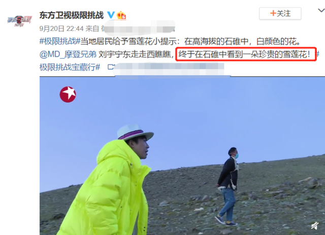 【最新】极限挑战嘉宾摘国家二级保护植物 节目组的锅还是明星的锅？