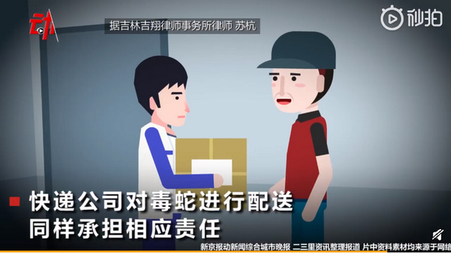 13岁男孩网购宠物蛇被咬进ICU 治疗过程一波三折，谁该担责?