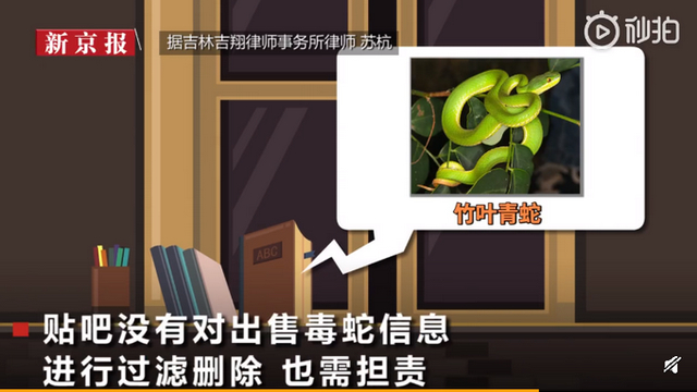 13岁男孩网购宠物蛇被咬进ICU 治疗过程一波三折，谁该担责?