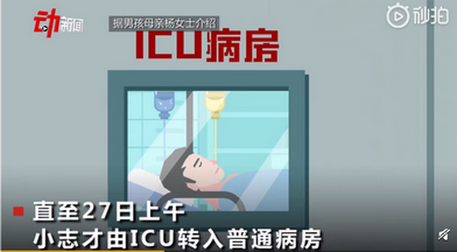13岁男孩网购宠物蛇被咬进ICU 治疗过程一波三折，谁该担责?