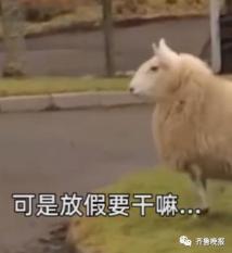 穷到惊醒!网友吐槽国庆放假要赶超5场婚宴