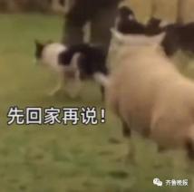 穷到惊醒!网友吐槽国庆放假要赶超5场婚宴