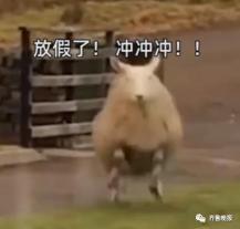 穷到惊醒!网友吐槽国庆放假要赶超5场婚宴