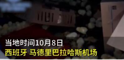 啥情况？六千只被遗弃小鸡死于马德里机场，为什么会被遗弃