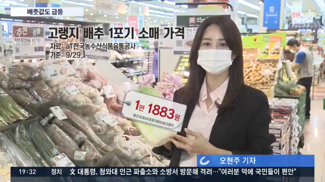 令人咂舌!韩国大白菜涨价至62元一棵 江原道发生两伙盗贼同时偷白菜案件