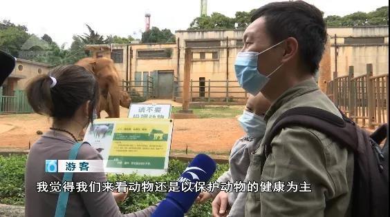 游客用裹塑料袋苹果投喂大象 不文明行为该如何处罚