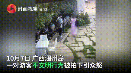 游客用裹塑料袋苹果投喂大象 不文明行为该如何处罚