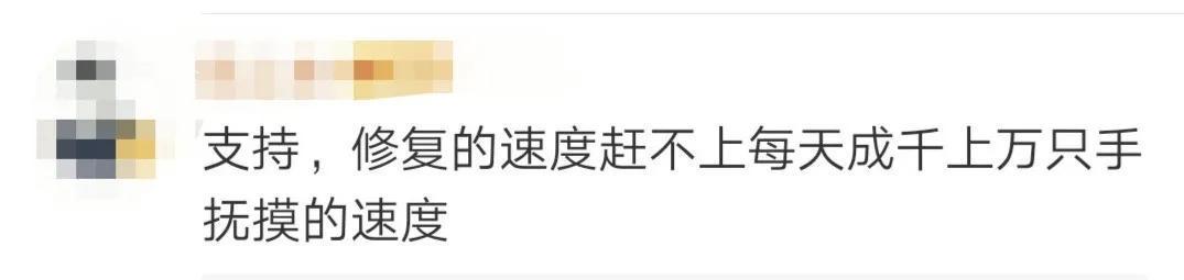 龙门石窟千年佛像被摸出“包浆”?具体什么情况?