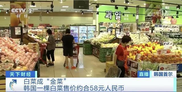 令人咂舌!韩国大白菜涨价至62元一棵 江原道发生两伙盗贼同时偷白菜案件